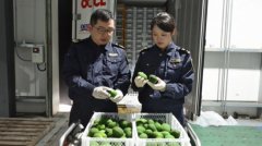 本年前4个月上海对拉美国度进出口总值增加2%中