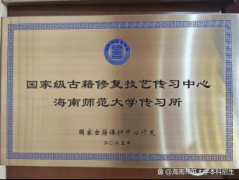 海南人才落户解读注释2025-海南人才落户最新打点